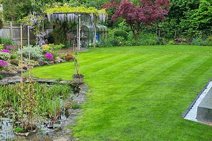 Luxury Lawn