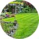 Luxury Lawn