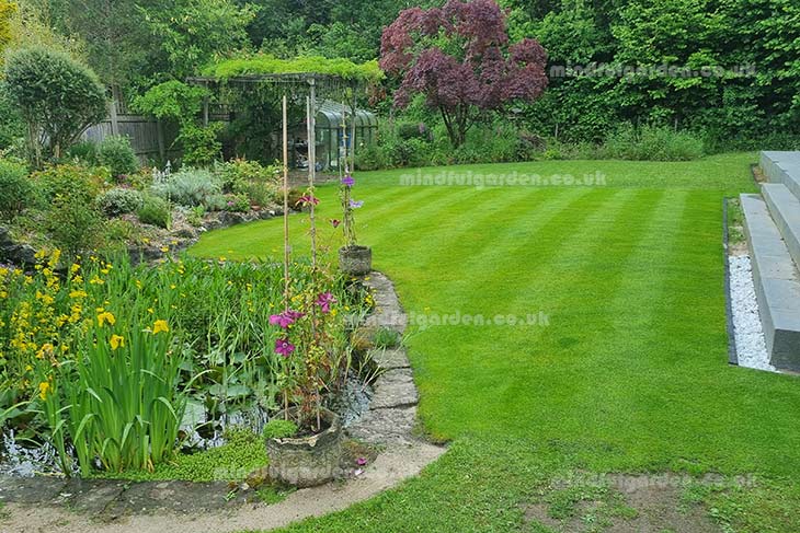 lawn in june, 1st