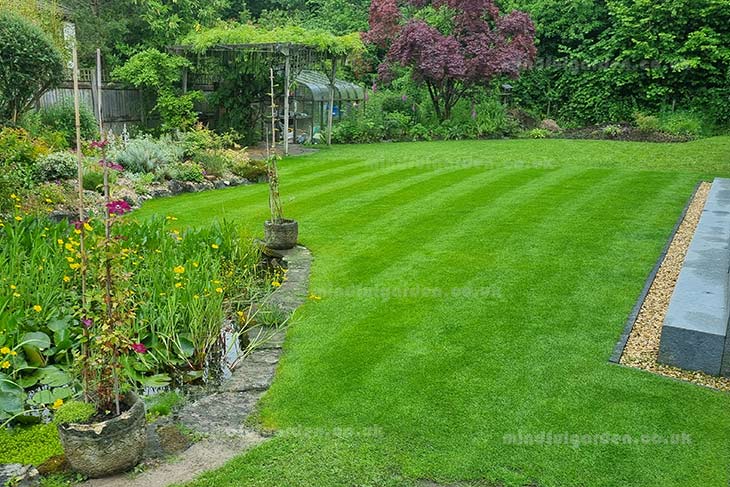 lawn in june, 10th