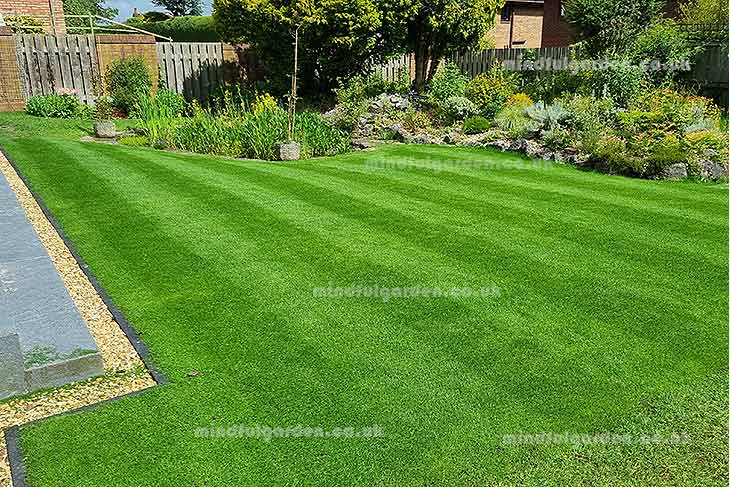 lawn in june, 13th