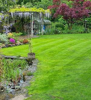 Luxury Lawn