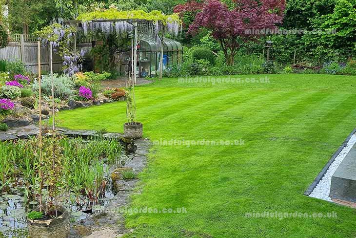 Luxury Lawn